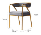 Dwight Dining Chair, Gold Frame - Joe’s Haven