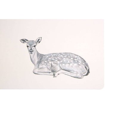 Effy Set Of Two Mini Forest Placemats And Coasters - Joe’s Haven