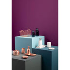 Traze Copper Finish Tumbler - Joe’s Haven