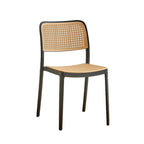 Ann Rattan Style Dining Chair, Plastic - Joe’s Haven