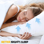 2 Pack Luxury Egyptian Cotton Blend Hotel Quality Pillows - Joe’s Haven