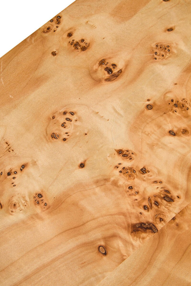 Natural Burl Wood Curved Coffee Table with Smooth Curved Edges, Mota - Joe’s Haven