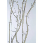 Ventana 80 Interwoven Lights White Twigs - Joe’s Haven