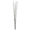Ventana Black Colour 80 Lights Twigs - Joe’s Haven