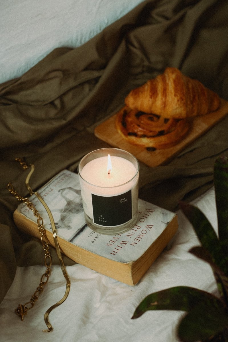 Pine Forest Scented Candle - Joe’s Haven