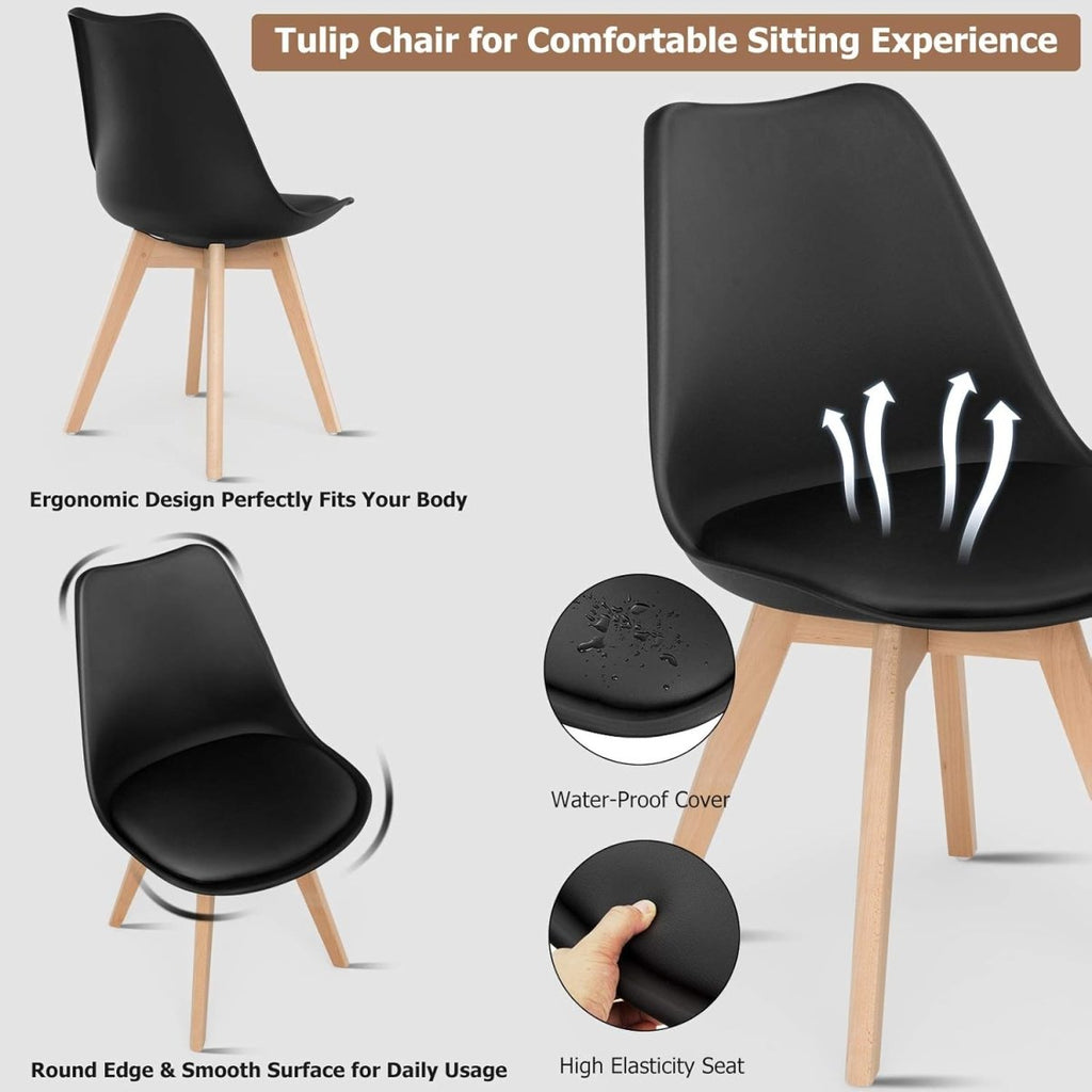 Jamie Lorenzo dining Chair - Joe’s Haven