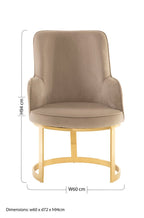 Eliza Beige Velvet Dining Chair - Joe’s Haven