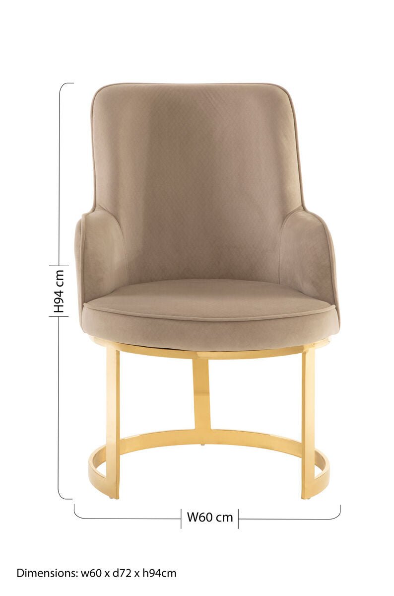 Eliza Beige Velvet Dining Chair - Joe’s Haven