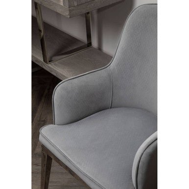 Eliza Grey Velvet Dining Chair With Silver Finish Legs - Joe’s Haven