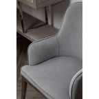 Eliza Grey Velvet Dining Chair With Silver Finish Legs - Joe’s Haven