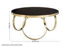 Large Round Mirrored Black Top Coffee Table with Gold Finish Stainless Steel Ring Base, Ragusa - Joe’s Haven