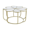 Silver and Gold Iron Frame Coffee Table with Petal Design Mirrored Top, Rabia - Joe’s Haven