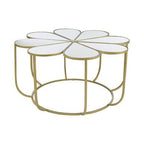 Silver and Gold Iron Frame Coffee Table with Petal Design Mirrored Top, Rabia - Joe’s Haven
