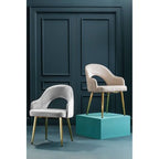 Dani Stone Velvet Dining Chair - Joe’s Haven