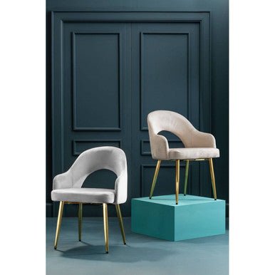 Dani Stone Velvet Dining Chair - Joe’s Haven