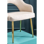 Dani Stone Velvet Dining Chair - Joe’s Haven