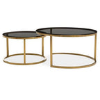 Set of 2 Black Tinted Glass Round Tops Nesting Coffee Tables with Brushed Gold Stainless Steel Frames, Alana - Joe’s Haven