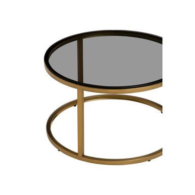 Set of 2 Black Tinted Glass Round Tops Nesting Coffee Tables with Brushed Gold Stainless Steel Frames, Alana - Joe’s Haven
