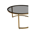 Set of 2 Black Tinted Glass Round Tops Nesting Coffee Tables with Brushed Gold Stainless Steel Frames, Alana - Joe’s Haven