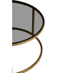 Set of 2 Black Tinted Glass Round Tops Nesting Coffee Tables with Brushed Gold Stainless Steel Frames, Alana - Joe’s Haven