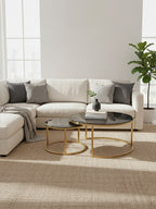 Set of 2 Black Tinted Glass Round Tops Nesting Coffee Tables with Brushed Gold Stainless Steel Frames, Alana - Joe’s Haven