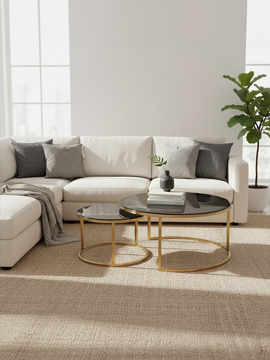 Set of 2 Black Tinted Glass Round Tops Nesting Coffee Tables with Brushed Gold Stainless Steel Frames, Alana - Joe’s Haven