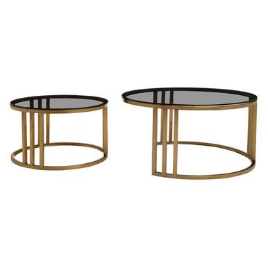 Set of 2 Tinted Glass Round Tops Nesting Coffee Tables with Brushed Gold Stainless Steel Frames, Alana - Joe’s Haven