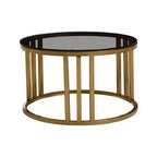 Set of 2 Tinted Glass Round Tops Nesting Coffee Tables with Brushed Gold Stainless Steel Frames, Alana - Joe’s Haven