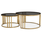 Set of 2 Tinted Glass Round Tops Nesting Coffee Tables with Brushed Gold Stainless Steel Frames, Alana - Joe’s Haven