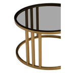 Set of 2 Tinted Glass Round Tops Nesting Coffee Tables with Brushed Gold Stainless Steel Frames, Alana - Joe’s Haven