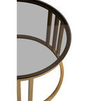 Set of 2 Tinted Glass Round Tops Nesting Coffee Tables with Brushed Gold Stainless Steel Frames, Alana - Joe’s Haven