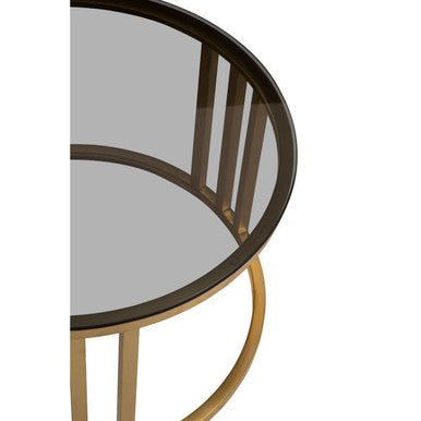 Set of 2 Tinted Glass Round Tops Nesting Coffee Tables with Brushed Gold Stainless Steel Frames, Alana - Joe’s Haven