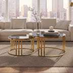 Set of 2 Tinted Glass Round Tops Nesting Coffee Tables with Brushed Gold Stainless Steel Frames, Alana - Joe’s Haven