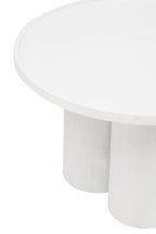Walsa Whitewash Mango Wood Column Detail Coffee Table - Joe’s Haven