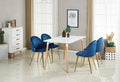 Lucia Halo Dining Set, a Table and Chairs Set of 4, White/Grey - Joe’s Haven