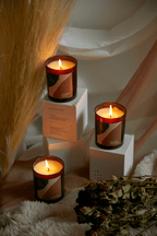 Apple Pie Scented Candle - Joe’s Haven