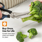 Smart Scissors - Joe’s Haven