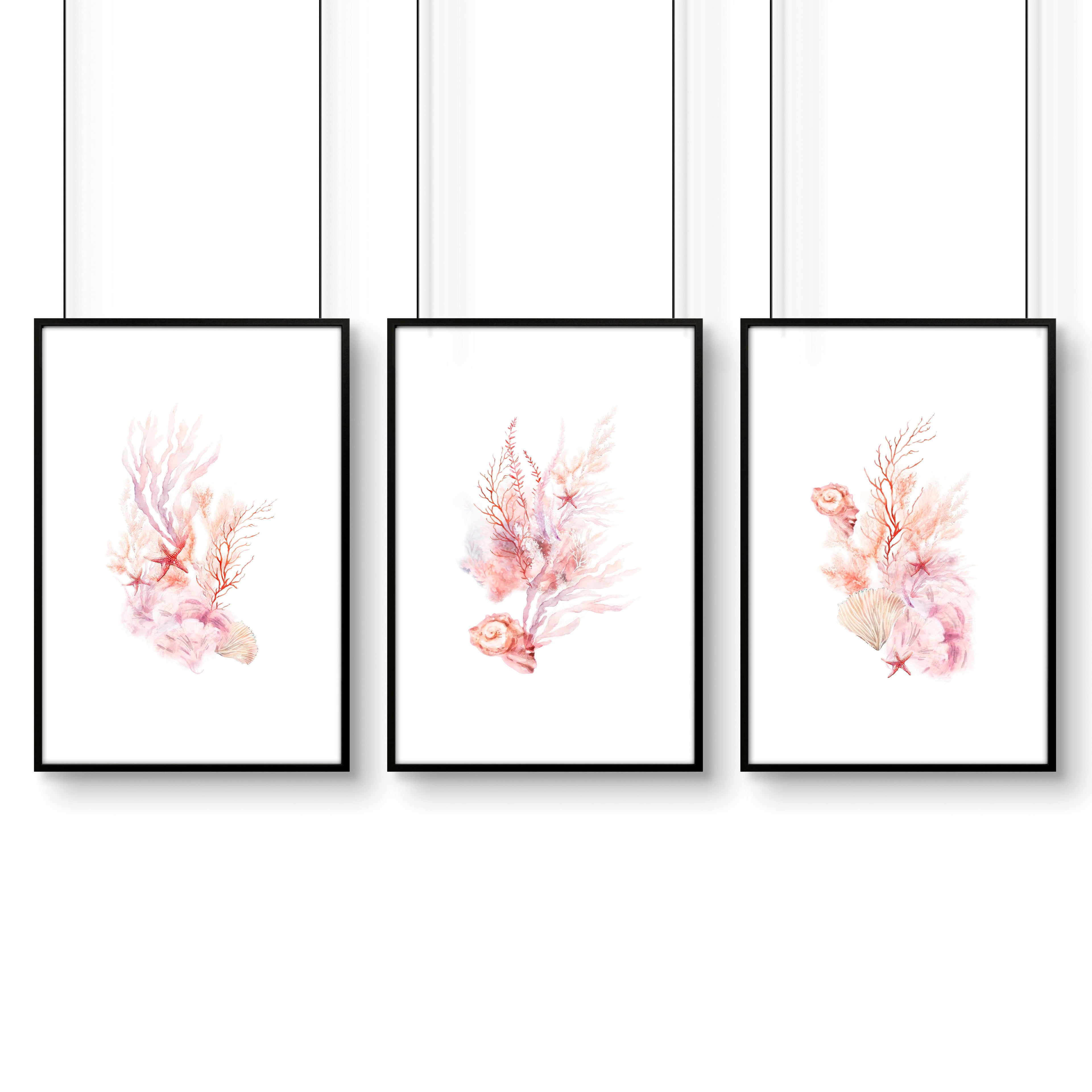 Framed Pictures For The Bathroom | Set of 3 Seashells Wall art Prints