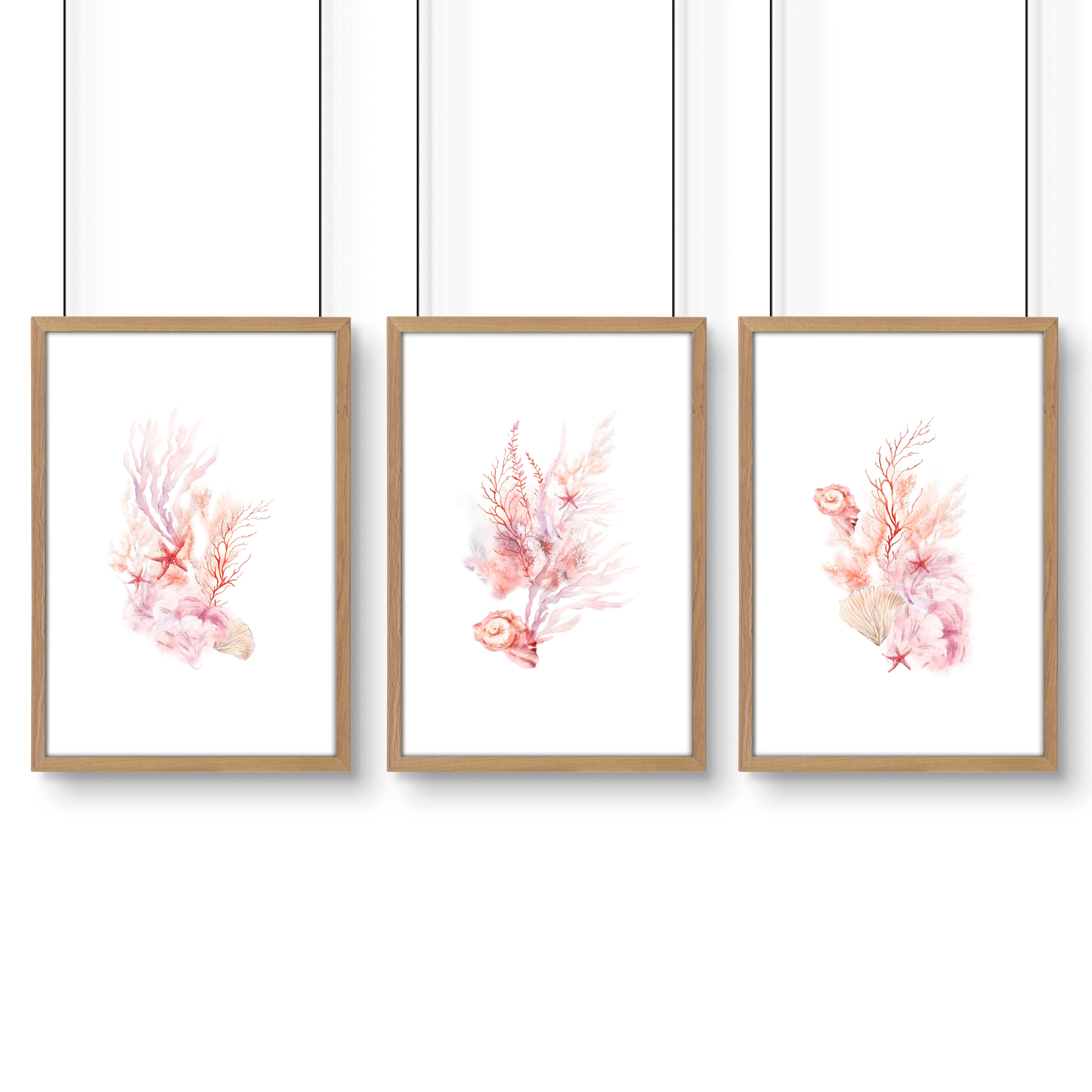 Framed Pictures For The Bathroom | Set of 3 Seashells Wall art Prints