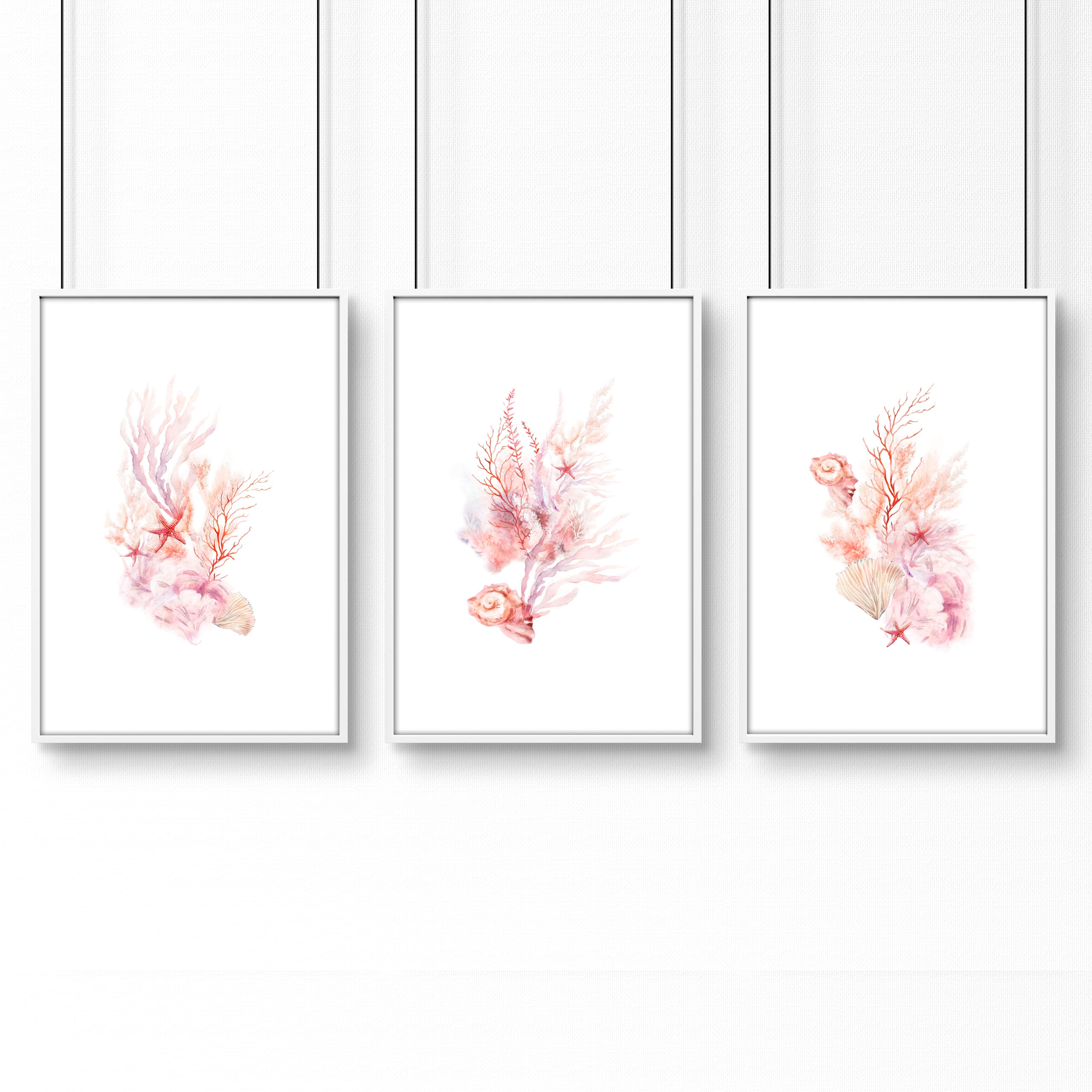 Framed Pictures For The Bathroom | Set of 3 Seashells Wall art Prints