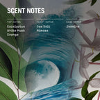 Cape Breeze Reed Diffuser