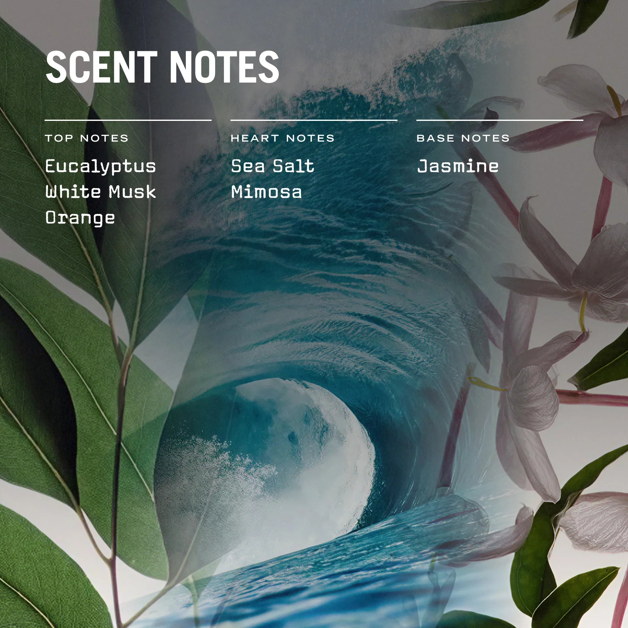 Cape Breeze Reed Diffuser