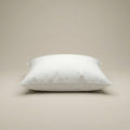 Cushion Insert - Joe’s Haven