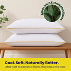 Brightr® Premium Waterproof Tencel Pillow Protector - Joe’s Haven
