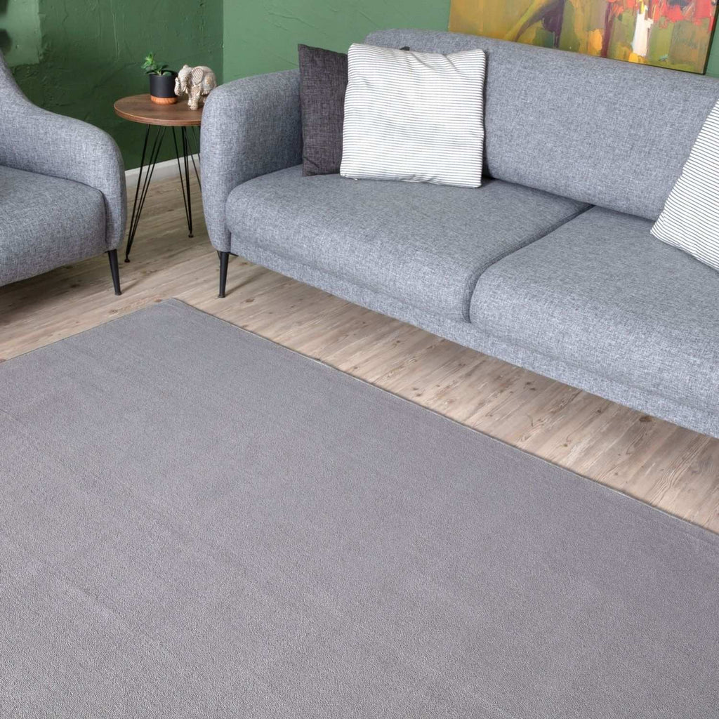 Flex Silver Low Pile Solid Rug – Joe’s Haven