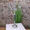 Mula Polished Silver 5 Candle Candelabra Centerpiece 105cm - Joe’s Haven