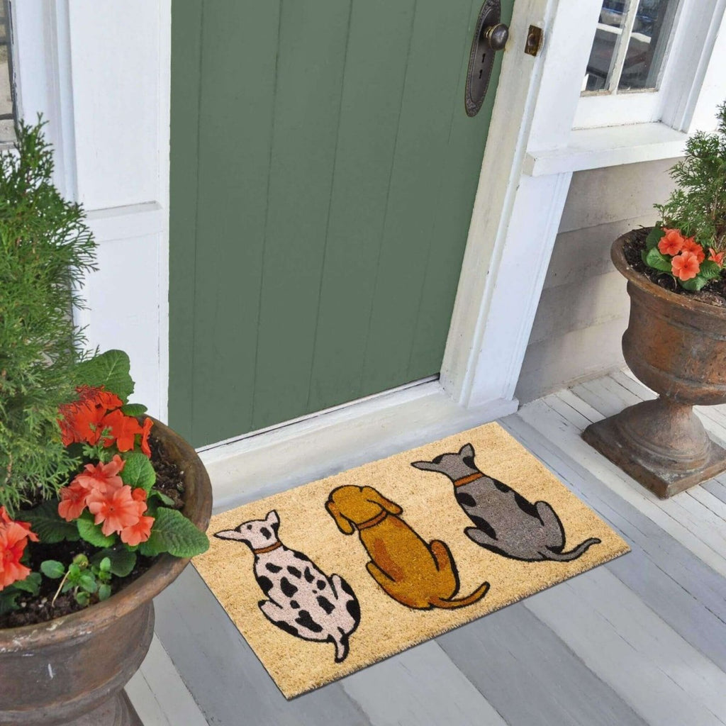 Coir Cats/Dogs Mats 45x75 cm | 132 - Joe’s Haven