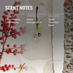 Lingonberry 100ml Reed Diffuser - Joe’s Haven