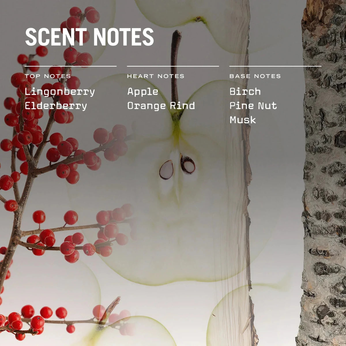 Lingonberry 100ml Reed Diffuser - Joe’s Haven