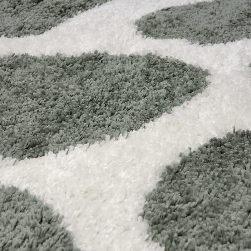 Moodi Shaggy Green Erosan Rug - Joe’s Haven